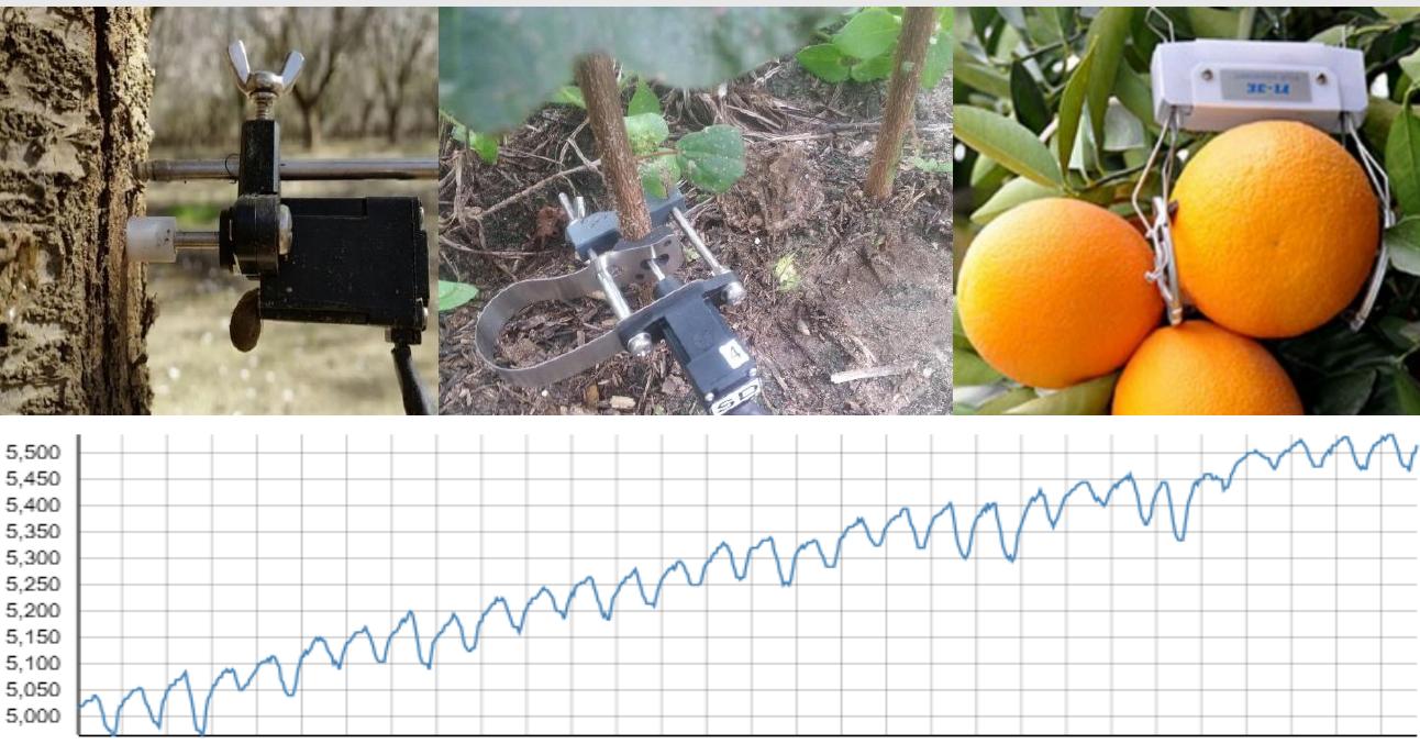 Dendromers (top) with an example of their raw readings of the plant's girth (bottom).