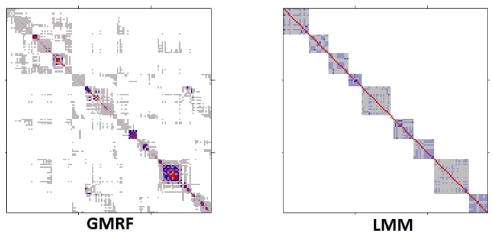 Error covariance implied by LMM vs. GMRF